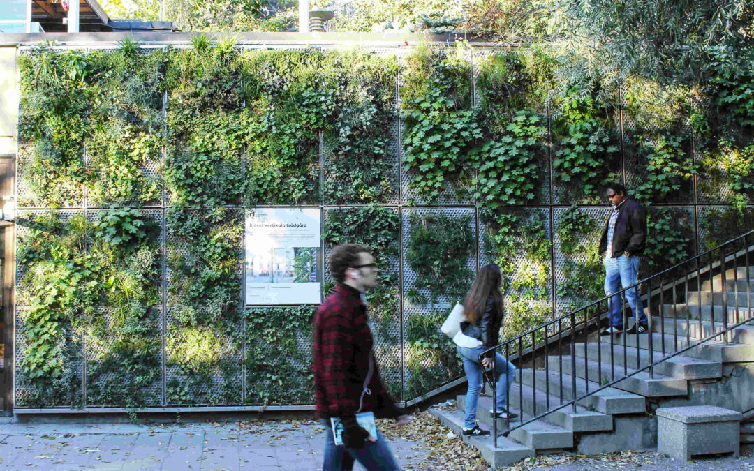 Björns Vertical Garden