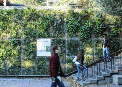 Björns Vertical Garden