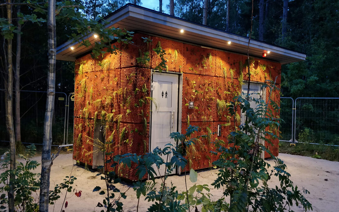 grüne Toilette