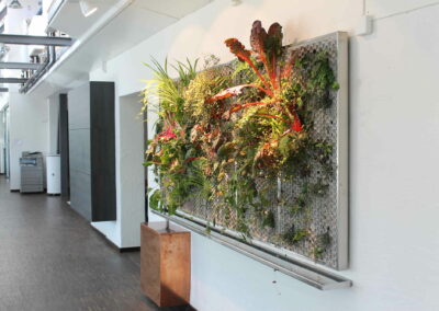 Vertikaler Garten McCann